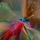 Illustration for article titled Zoom Photo Challenge Gallery 2